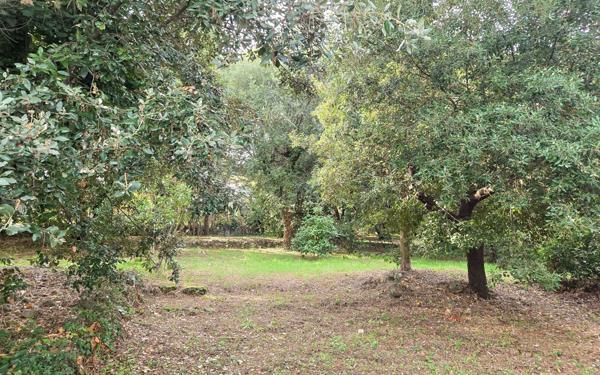 Terrain à vendre    Biot