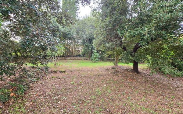 Terrain à vendre    Biot