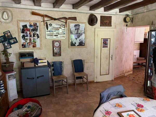 Maison à vendre à Bessé-sur-Braye dans la Sarthe (72310), ref : 41059-856