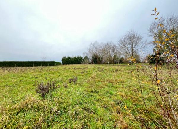 Terrain à vendre    Larré