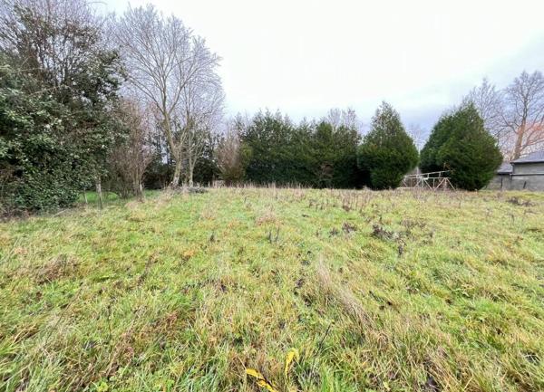 Terrain à vendre    Larré