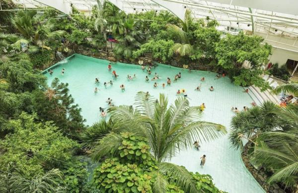INVESTISSEMENT LOCATIF – Chaumont-sur-Tharonne – Résidence de Tourisme Domaine Center Parcs Les Hauts de Bruyères - 7,16 % de rentabilité