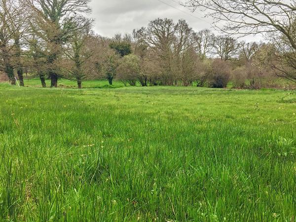 Achat terrain La Méaugon - 3689 m² - 108 390 €