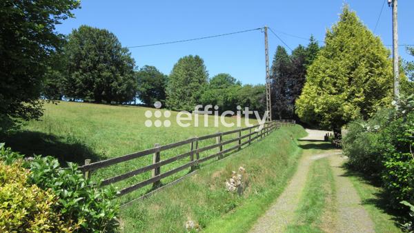 Maison 11 pièces - 290 m²