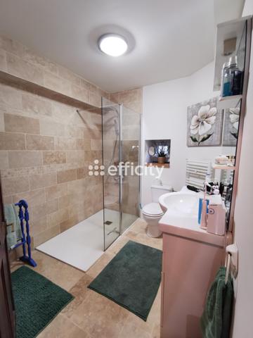 Maison 11 pièces - 290 m²