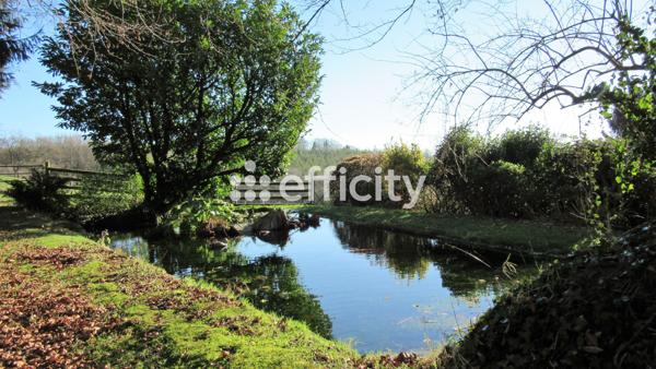 Maison 11 pièces - 290 m²