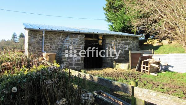 Maison 11 pièces - 290 m²