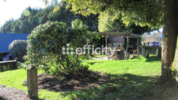 Maison 11 pièces - 290 m²