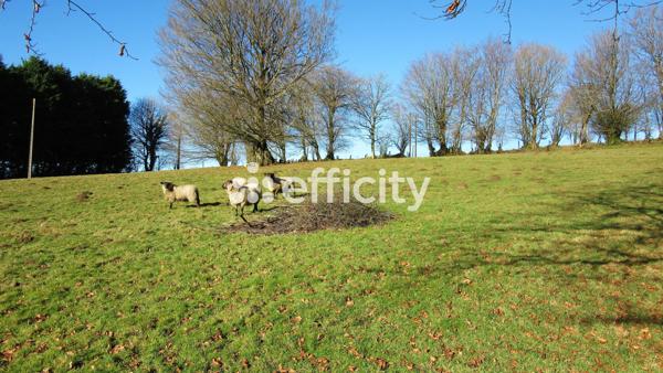 Maison 11 pièces - 290 m²