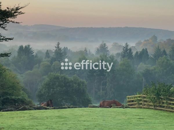 Maison 11 pièces - 290 m²