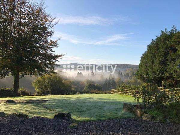 Maison 11 pièces - 290 m²