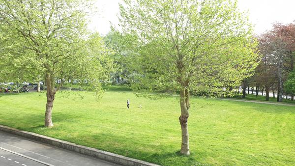 BREST - Appartement T3 - non meublé