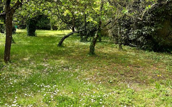 Maison à vendre    4 pièces •  Saint-Pierre-d'Oléron