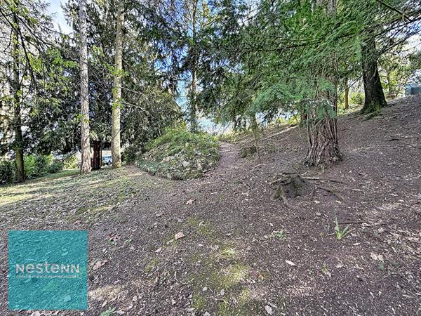 Maison Bourgeoise d'Exception à Bléré, Havre de Paix et de Lumière