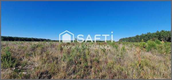 Terrain forestier de 1,5h à Sanguinet