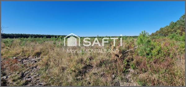 Terrain forestier de 1,5h à Sanguinet