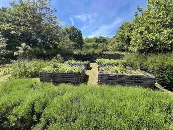 Propriete à vendre 6 pièces proche de CORMERY (37)