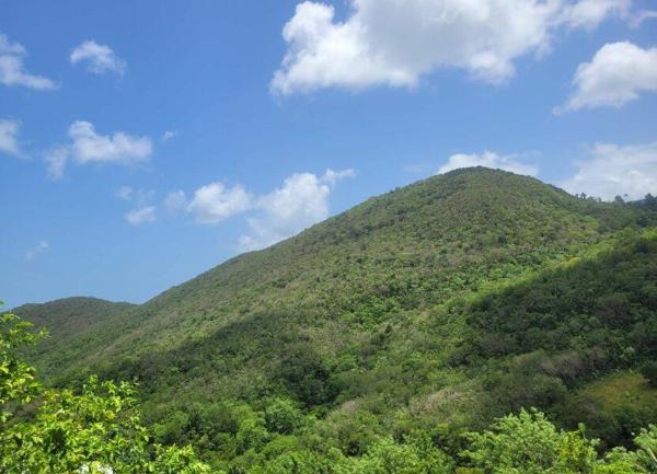 Appartement à louer    2 pièces •  Sainte-Luce