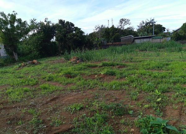 Terrain à vendre    491 m2 Saint-Joseph