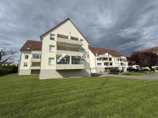 3%.COM Appartement F2 avec terrasse et parking Hochfelden (67270)