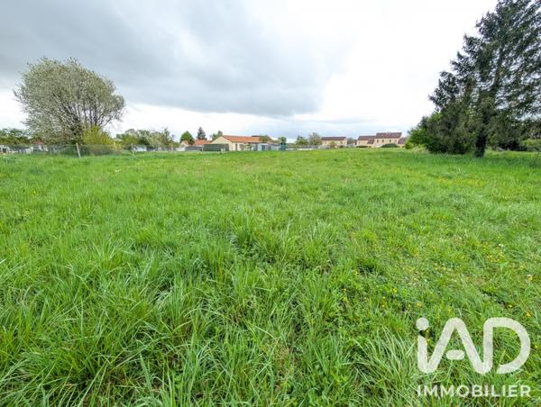 Terrain à vendre 4 024 m² Lussac-les-Châteaux
