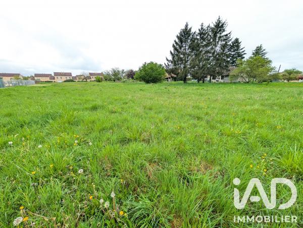 Terrain à vendre 4 024 m² Lussac-les-Châteaux