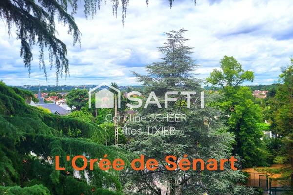 Orée de Sénart. Bel appartement familial