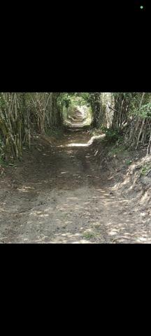 Terrain avec source pour étang 19 000 €
