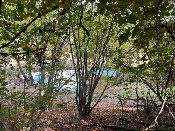 Terrain avec source pour étang 19 000 €