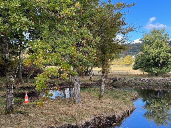 Terrain avec source pour étang 19 000 €