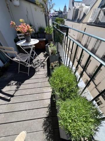 ILE SAINT LOUIS - DUPLEX avec terrasse - Vues