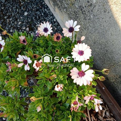 Belle maison, bien rénovée avec une histoire qui va vous plaire .