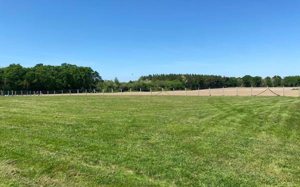 Maison à vendre    5 pièces • 170 m2 Pomarez