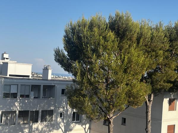 appartement rénové avec grande terrasse quartier europe