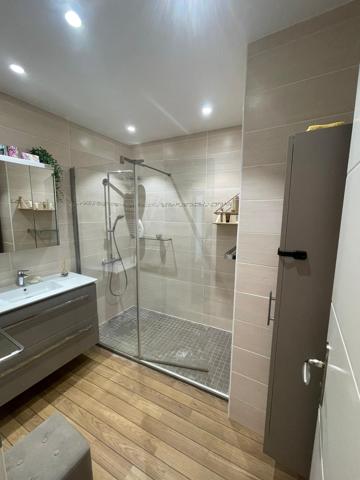 appartement rénové avec grande terrasse quartier europe