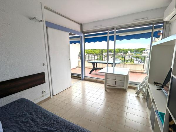 Charmant T2 avec terrasse et piscine à Port-Camargue