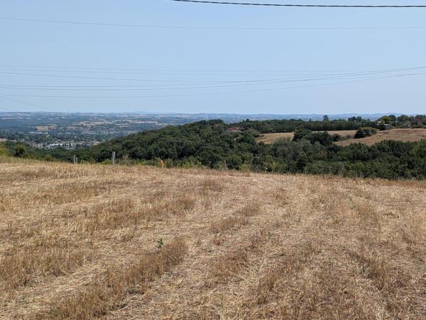 Terrain constructible à 5 minutes d'Albi