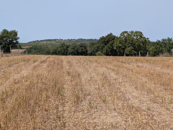 Terrain constructible à 5 minutes d'Albi