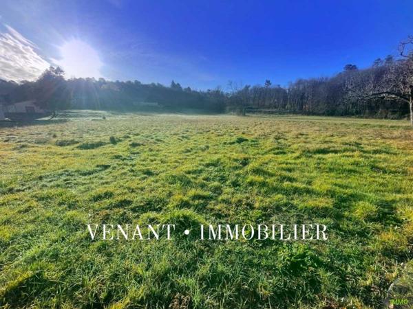 Vente / Terrain