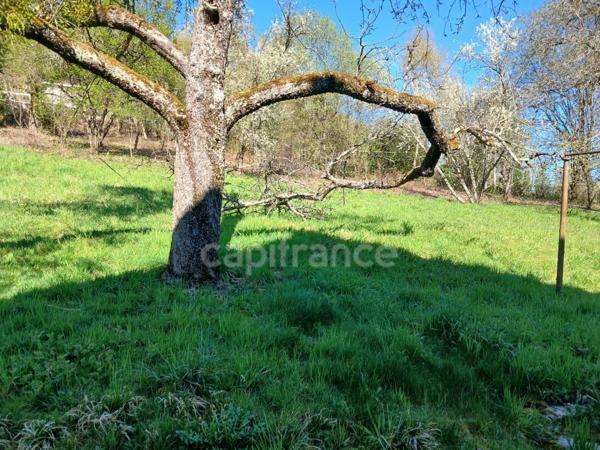 Maison de caractère à fort potentiel – Idéal investissement ou projet familial