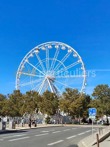 Vente
                Appartement21,53 m² - 1 Pièce -
                    LA ROCHELLE (17000)