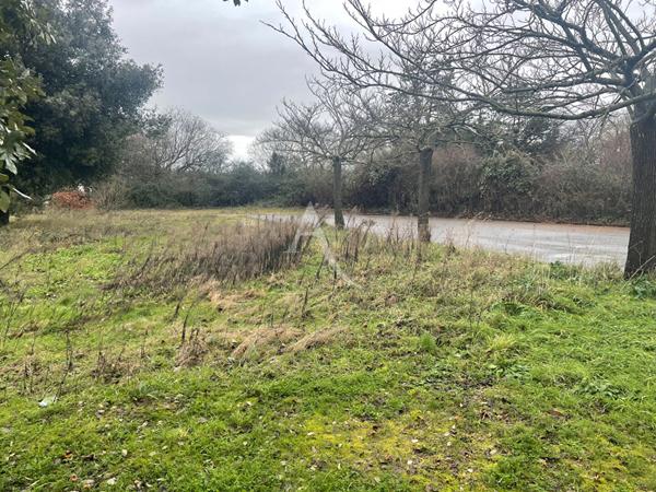 Terrain Bretignolles Sur Mer 1367 m2