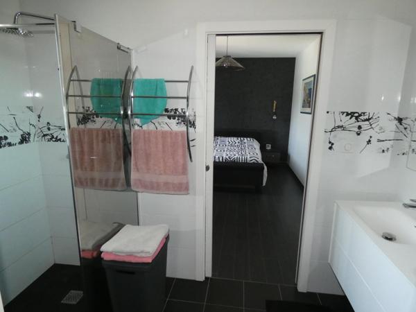 Maison contemporaine de plain pied de 159 m² secteur Le Garric (Nord d'Albi).