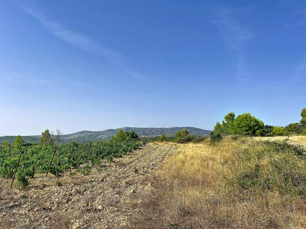 Vue imprenable sur les Corbières, la garrigue, les étangs de Sigean et de La Palme, et, par temps clair, jusqu'à la Méditerranée