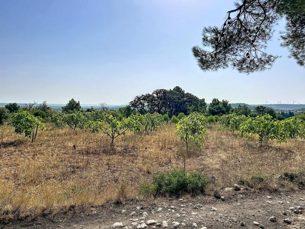 Vue imprenable sur les Corbières, la garrigue, les étangs de Sigean et de La Palme, et, par temps clair, jusqu'à la Méditerranée