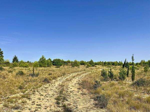 Vue imprenable sur les Corbières, la garrigue, les étangs de Sigean et de La Palme, et, par temps clair, jusqu'à la Méditerranée