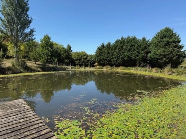 Maison en pierre avec parc et étang