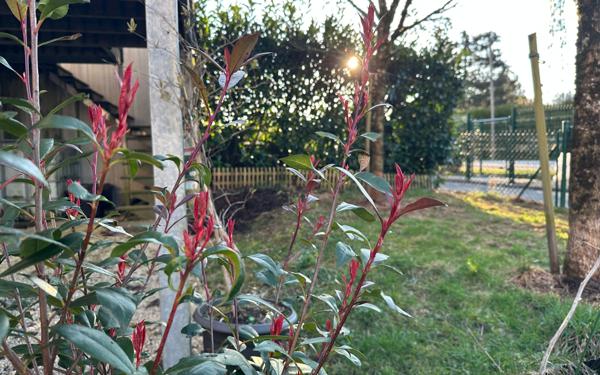 Appartement à vendre    4 pièces • 70 m2 Valdoie