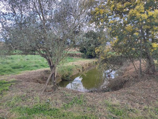 Escanecrabe (31350) Ferme et dépendances à rénover idéal investisseurs