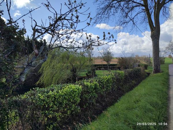 Escanecrabe (31350) Ferme et dépendances à rénover idéal investisseurs